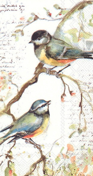 Servilleta Happy Littel Titmice