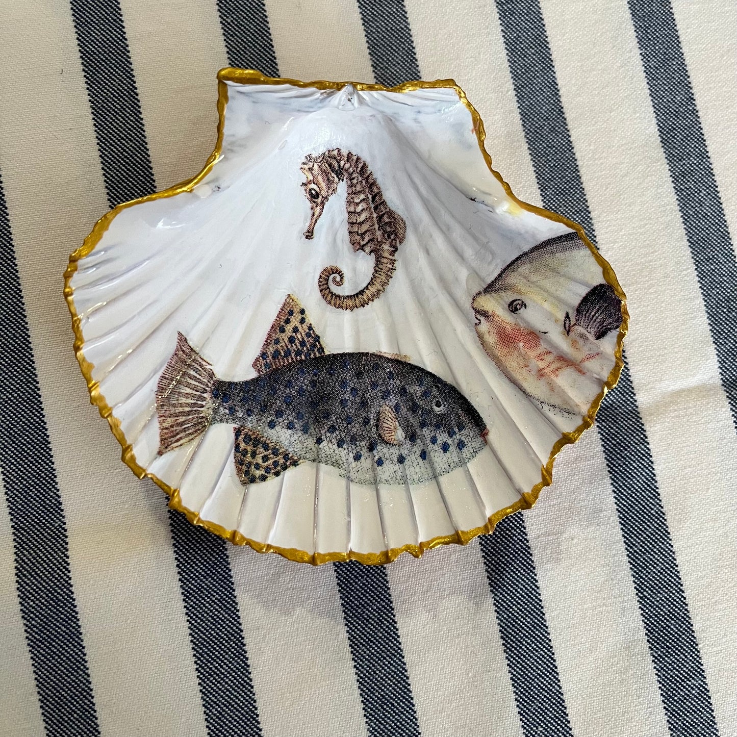 Concha decorativa peces