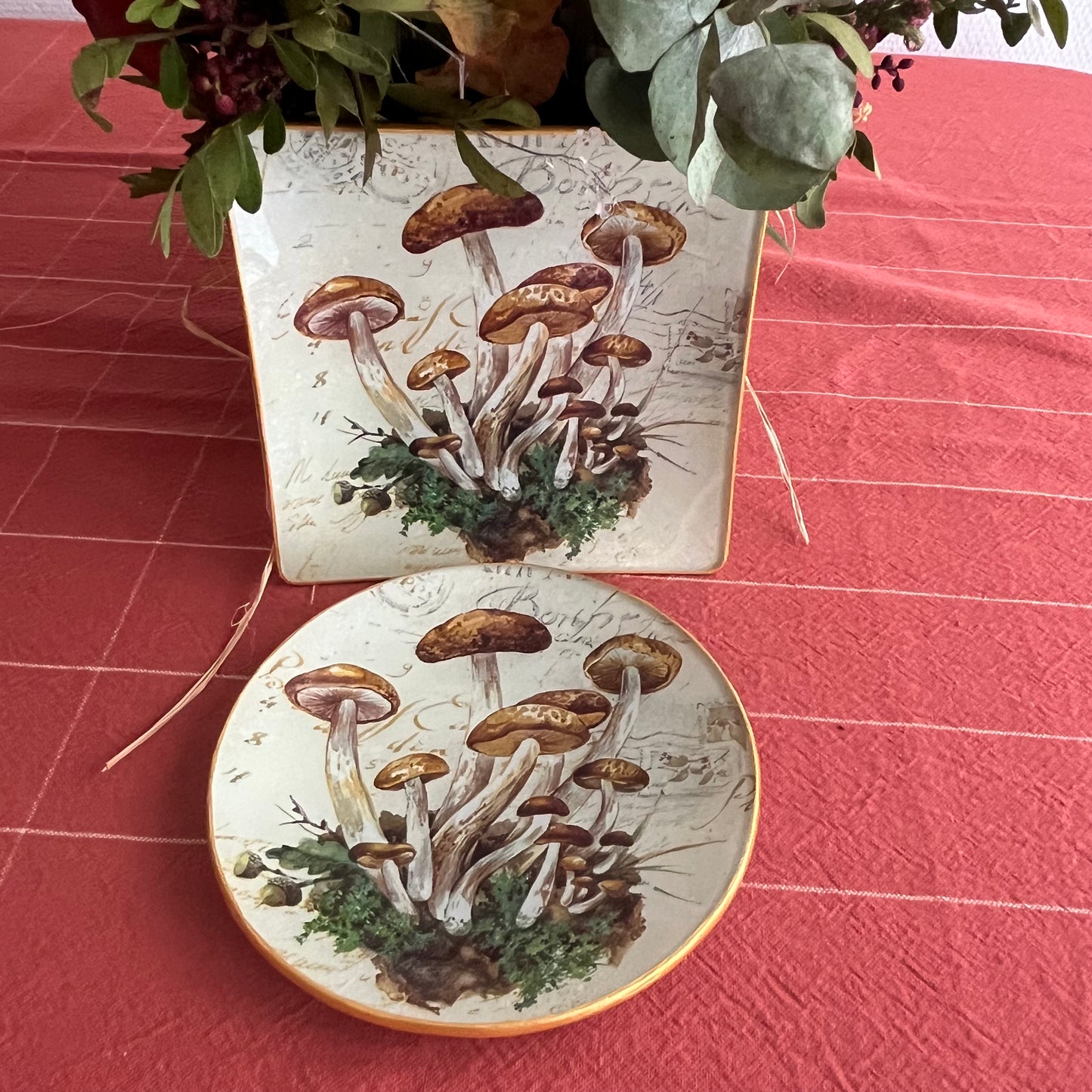 Plato mushrooms