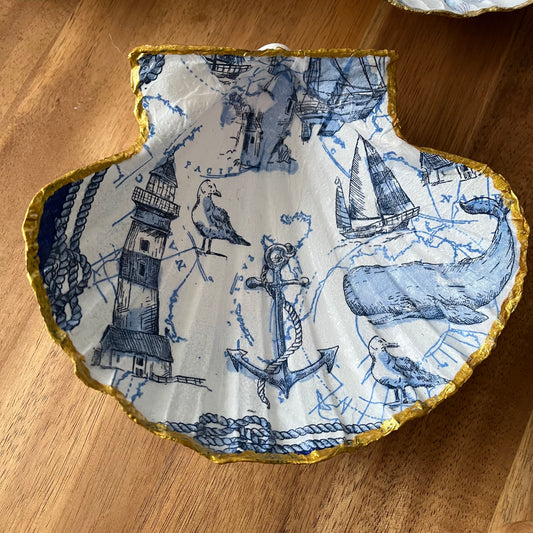 Concha de vieira Navy