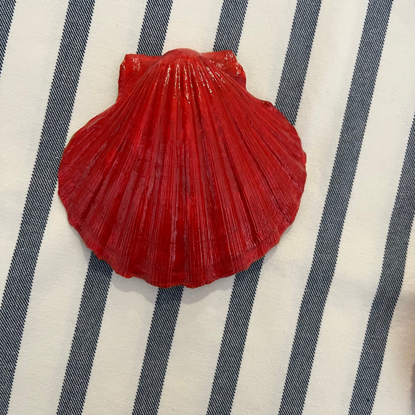 Cocha de vieira Coral