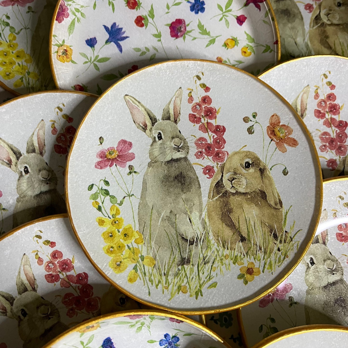 Plato Hop on Spring