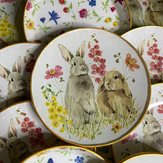 Plato Hop on Spring