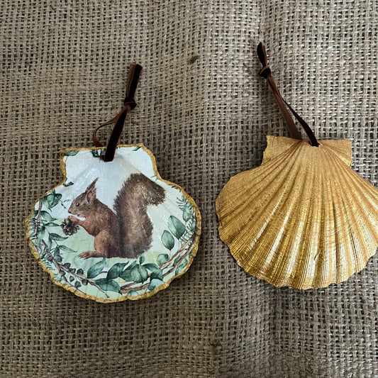 Concha de vieira ardilla (3 modelos diferentes)