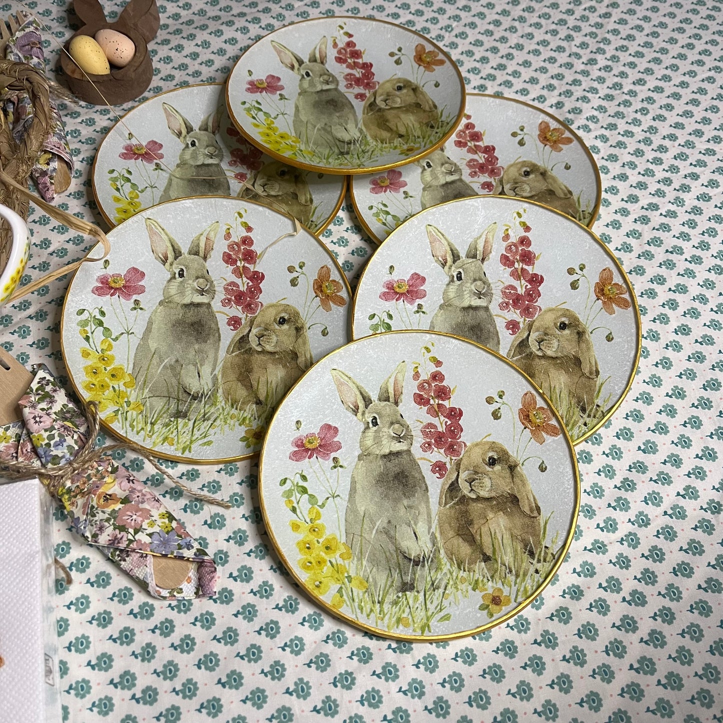 Plato Hop on Spring