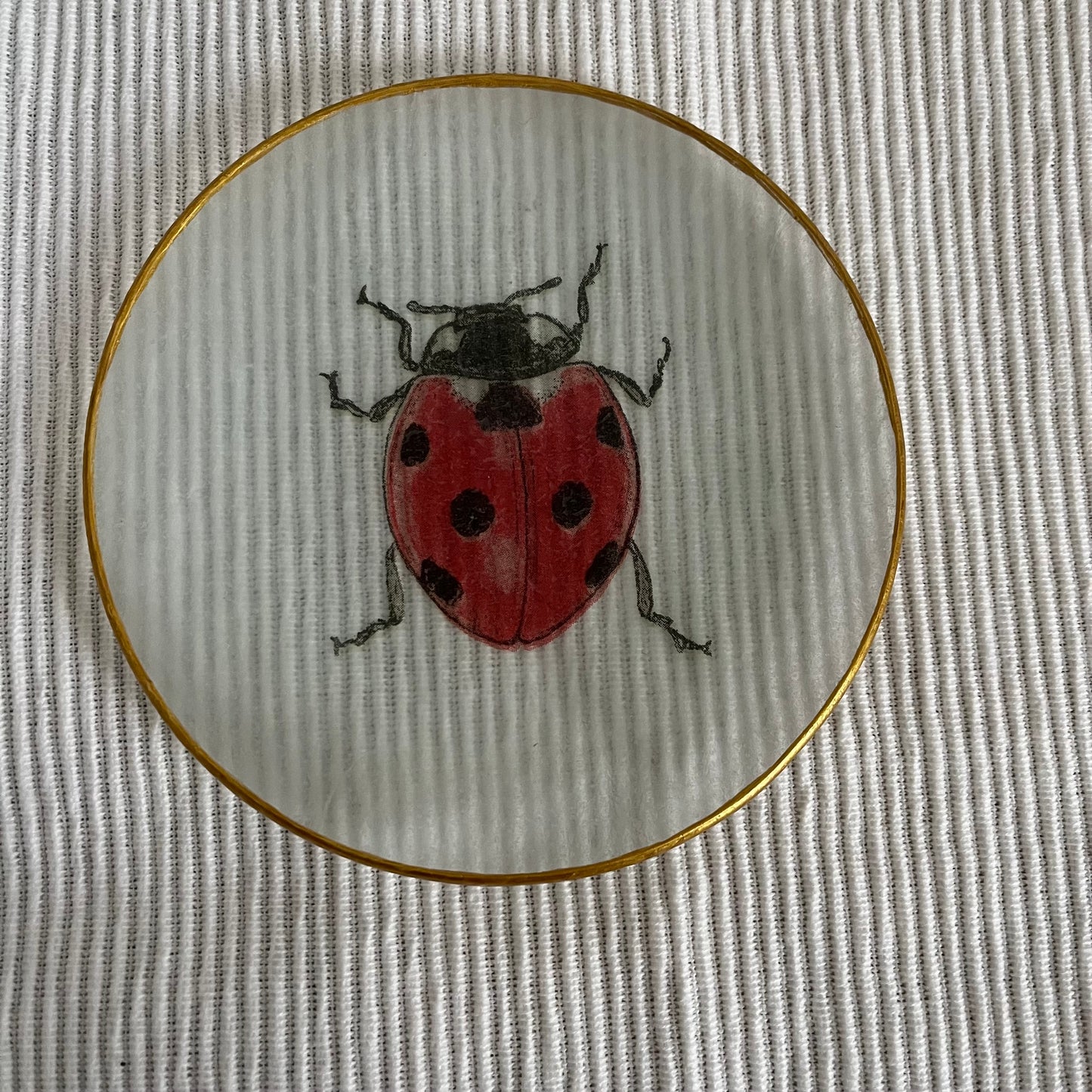 Plato insectos