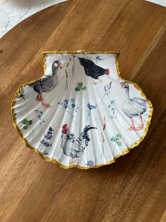 Concha de vieira animales de la granja