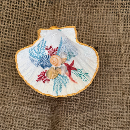 Concha de vieira Brisa Marina