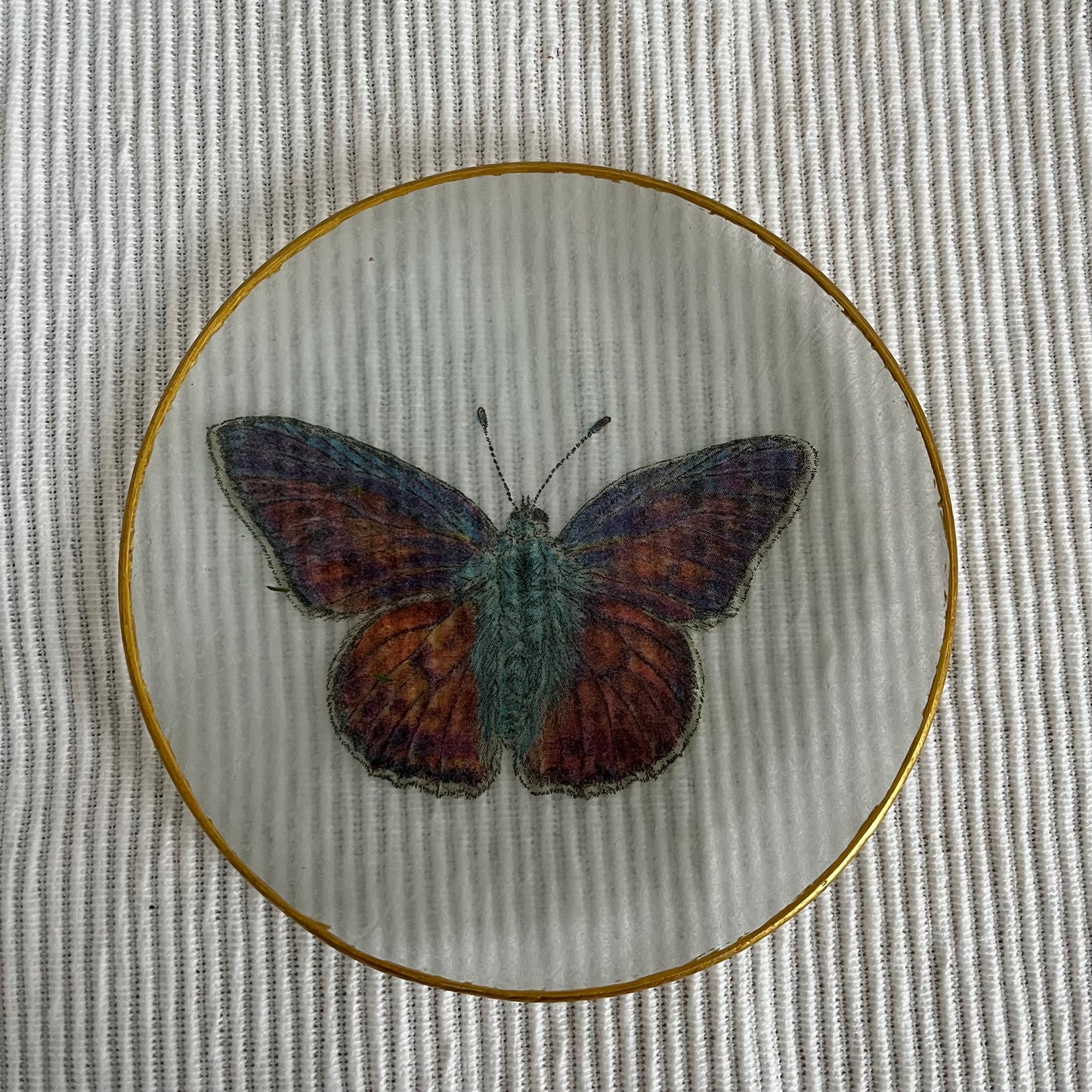 Plato insectos