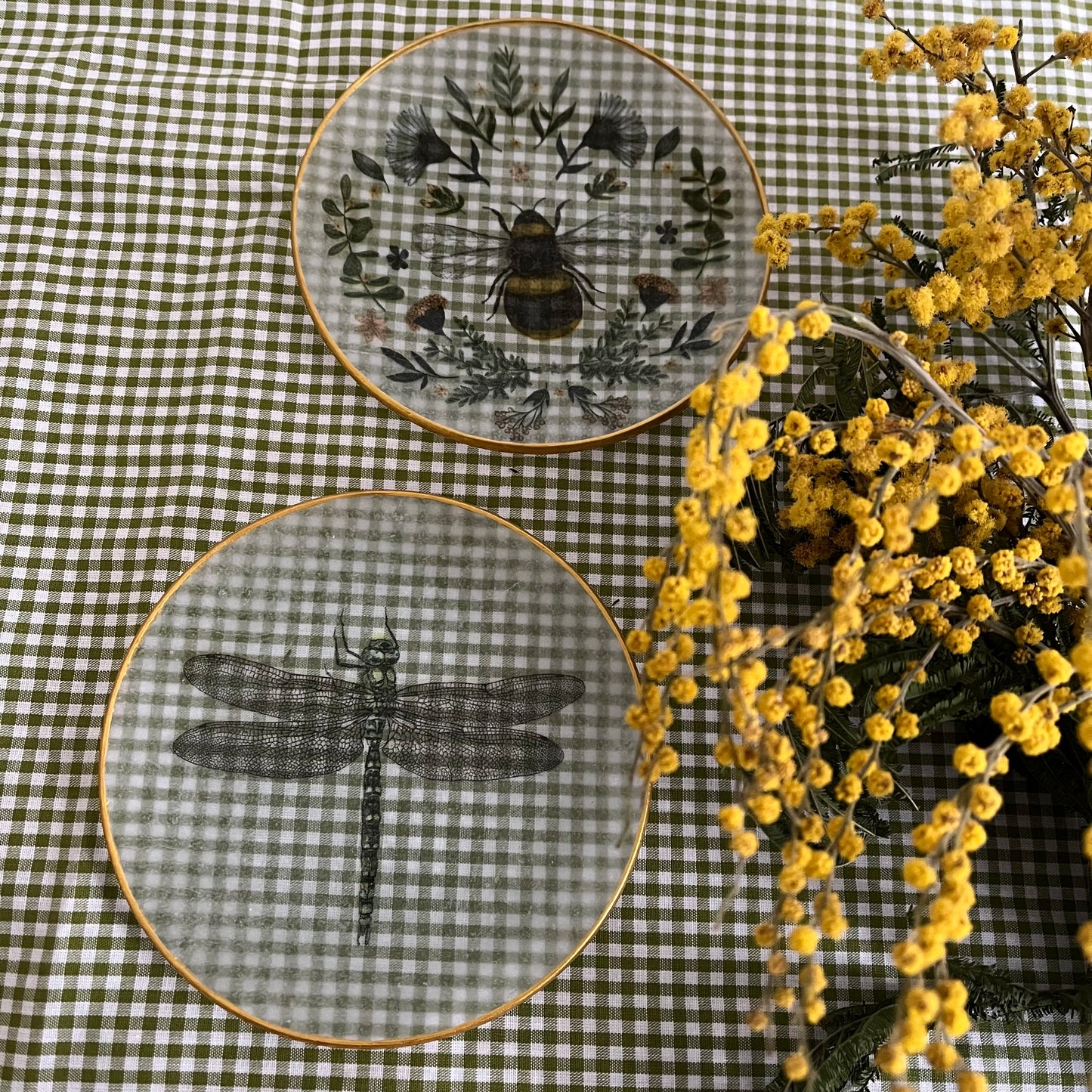 Plato insectos