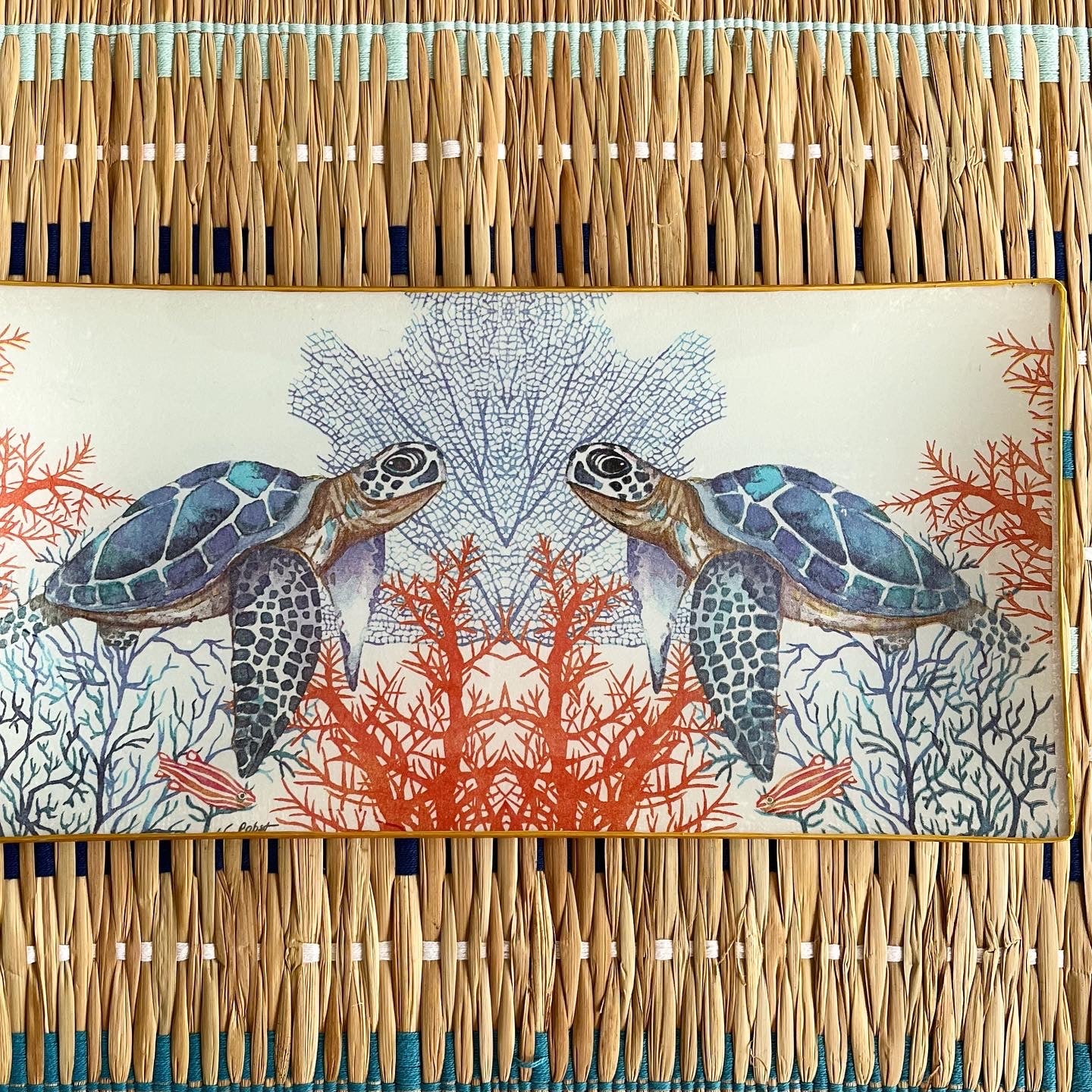 Bandejas rectangular tortuga