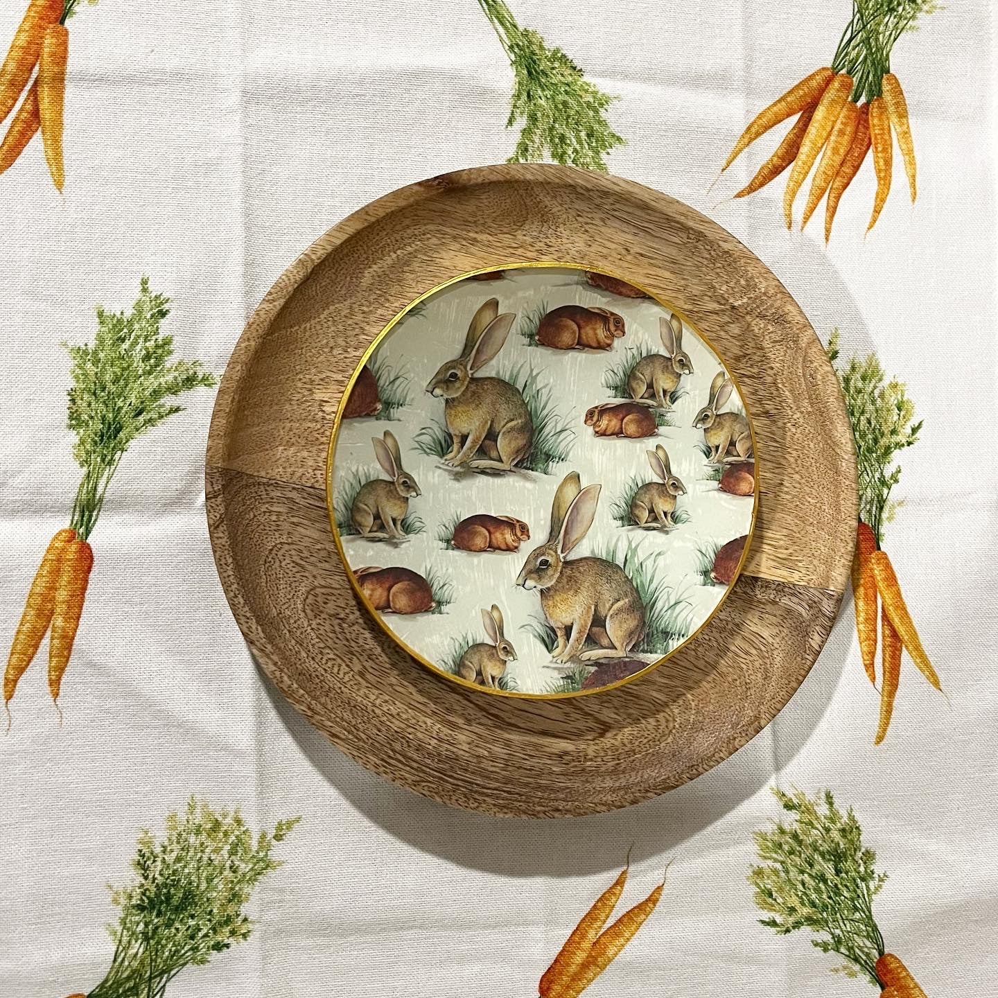 Plato rabbit