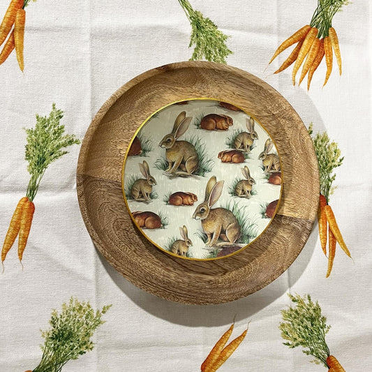 Plato rabbit