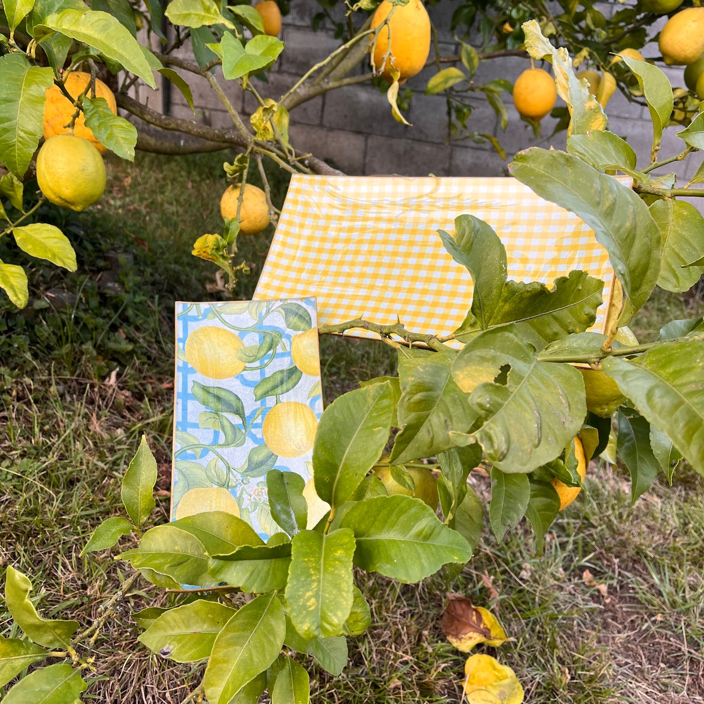 Bandeja rectangular limones