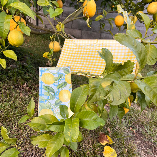 Bandeja rectangular limones