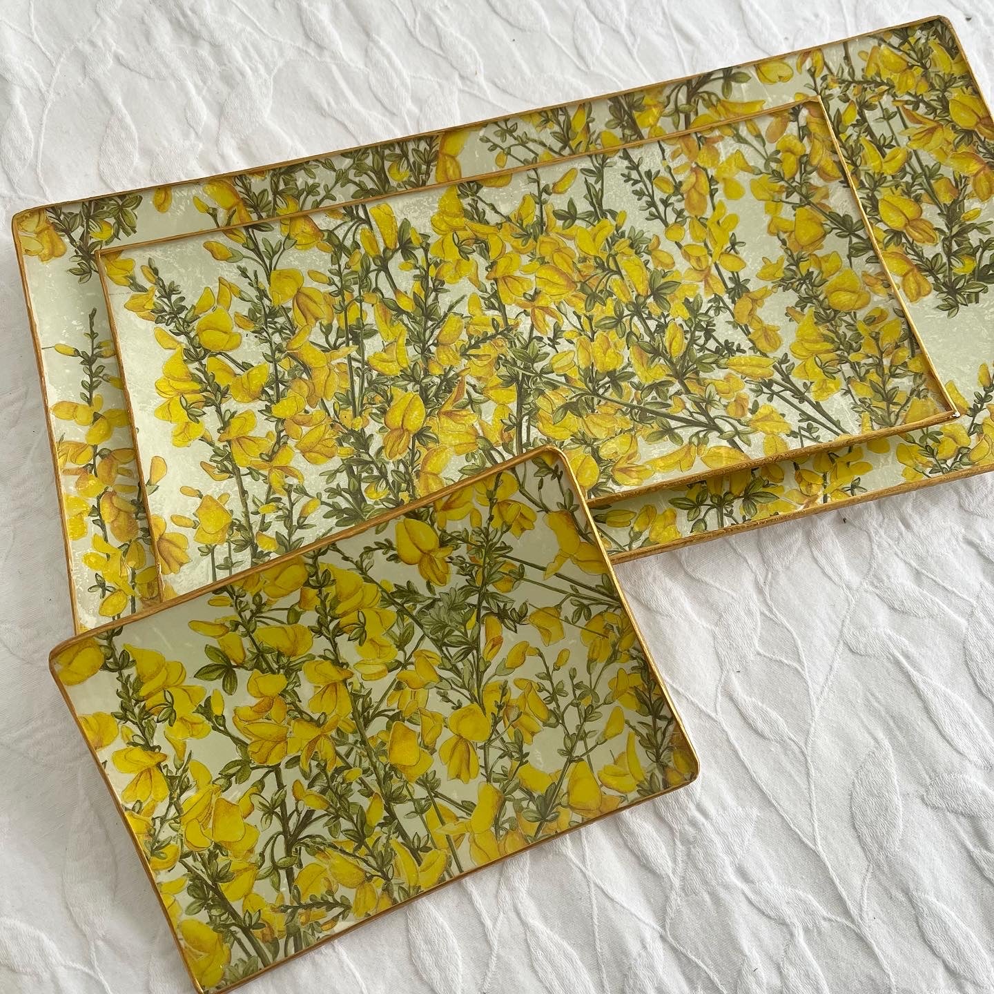 Bandeja modelo XESTA