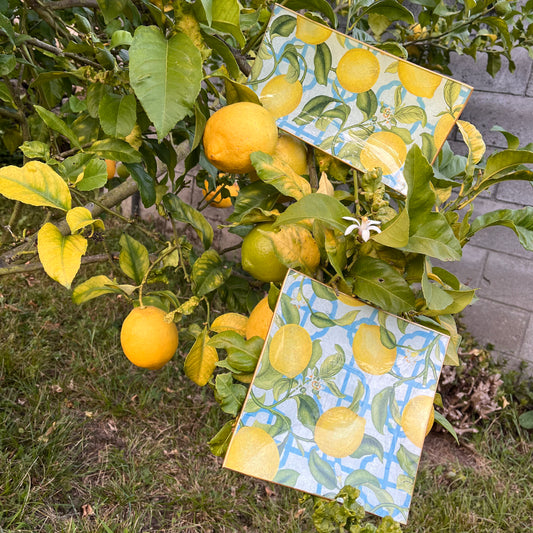 Bandeja cuadrada limones