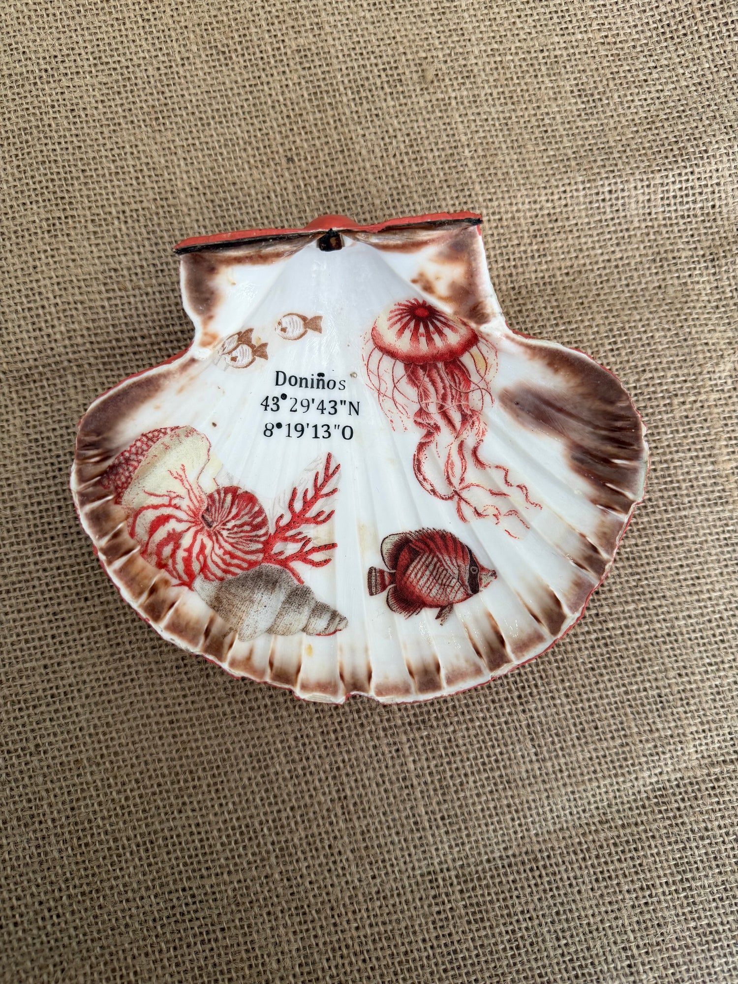 CONCHAS PERSONALIZABLES