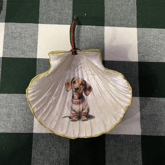 Concha de vieira Teckel