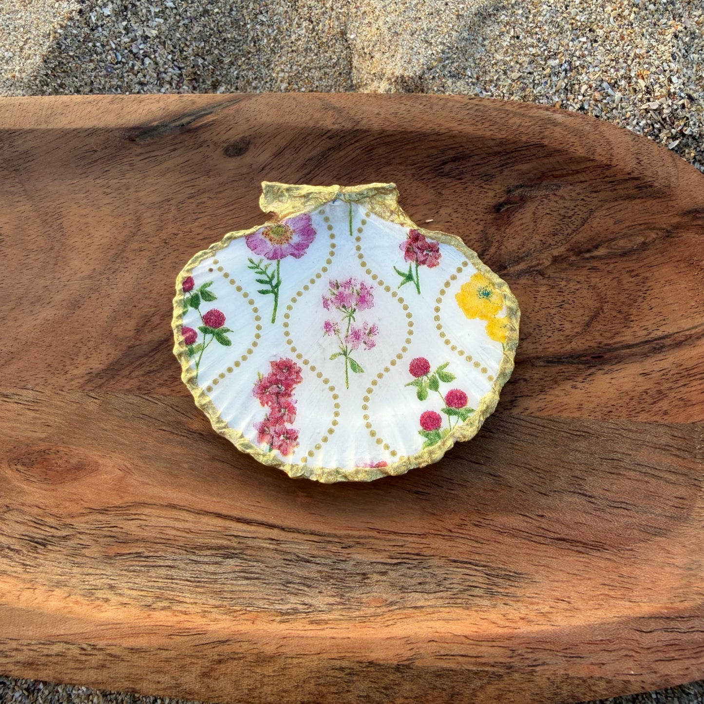 Conchas de volandeira (varios modelos)