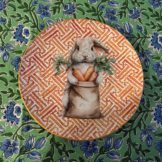 Plato Rabbit Zanahorias