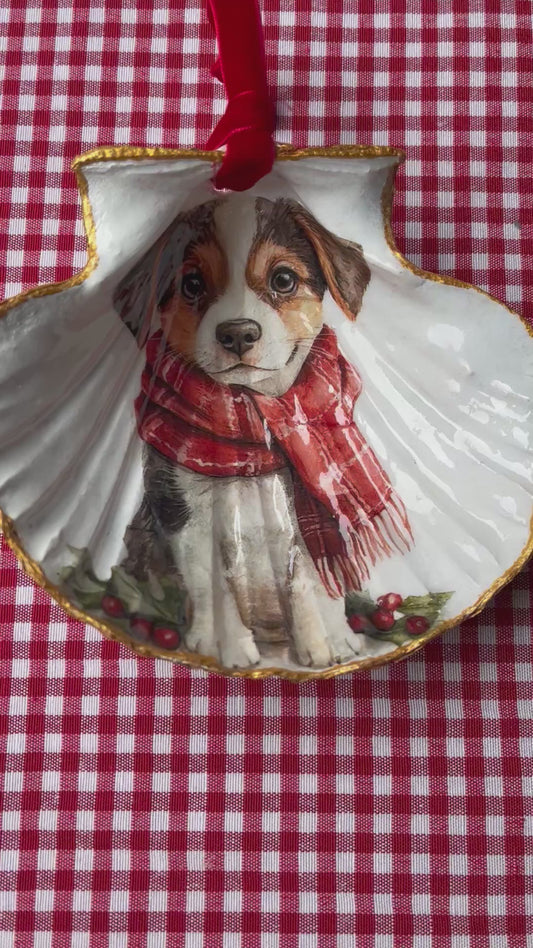 Concha de vieira perro navideño