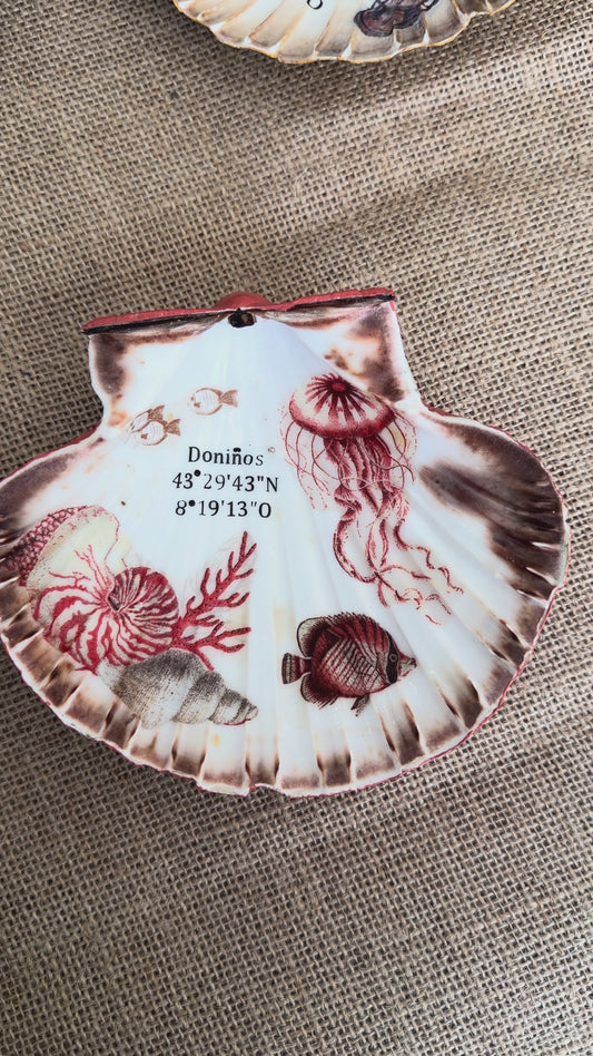 Concha de vieira personalizable “Bajo el mar “