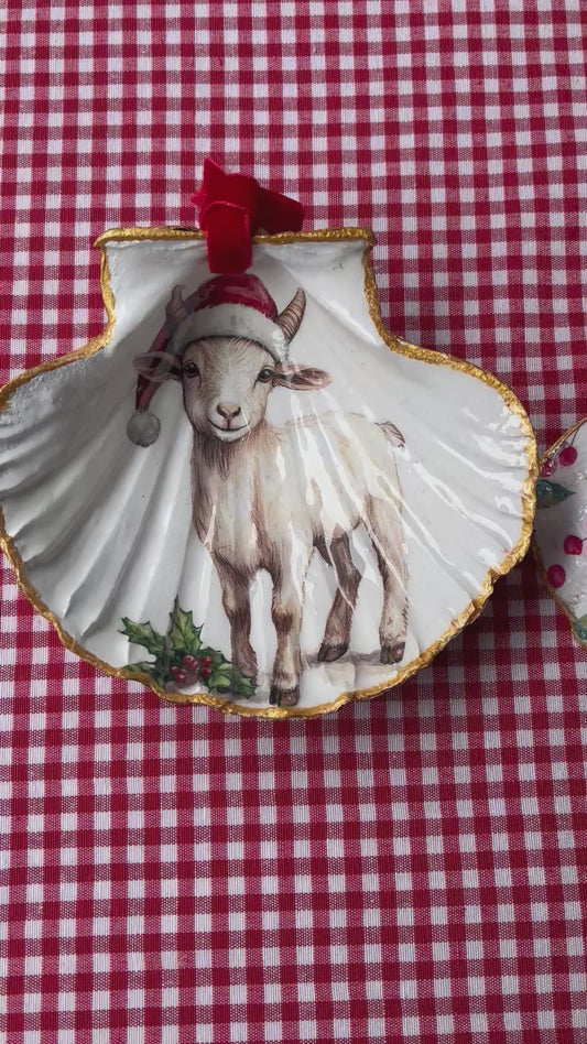 Concha de viera Navidad Cabrita