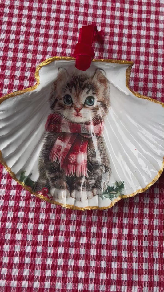 Concha de vieira gato Navideño
