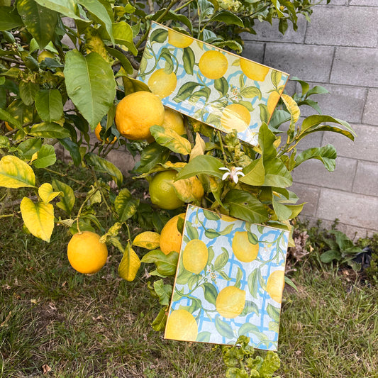 Bandeja rectangular limones