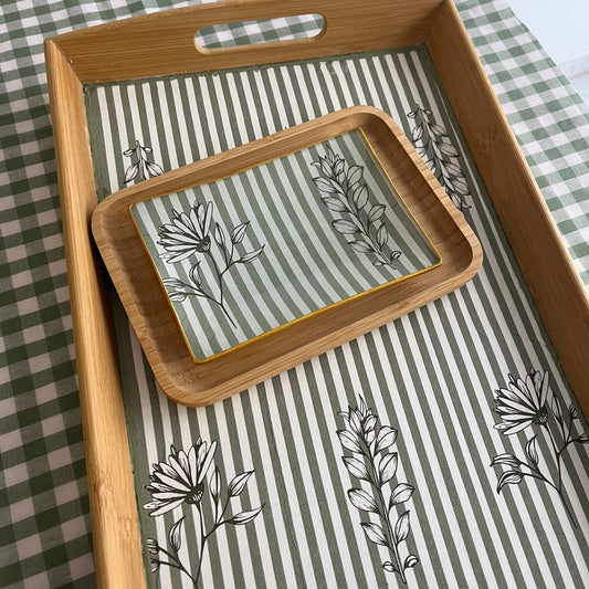 Bandeja colección botánica